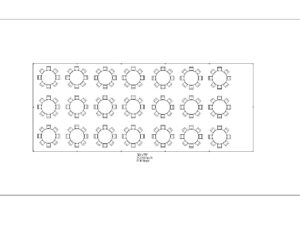 30'x75' Tent - 2,250ft2